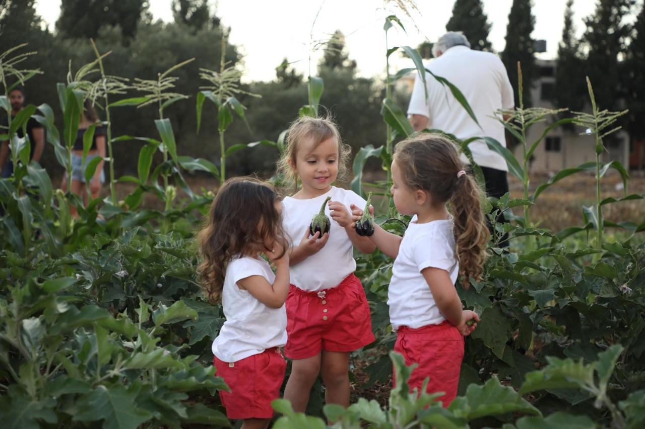 The Ranch Kfar Hazir Exterior foto