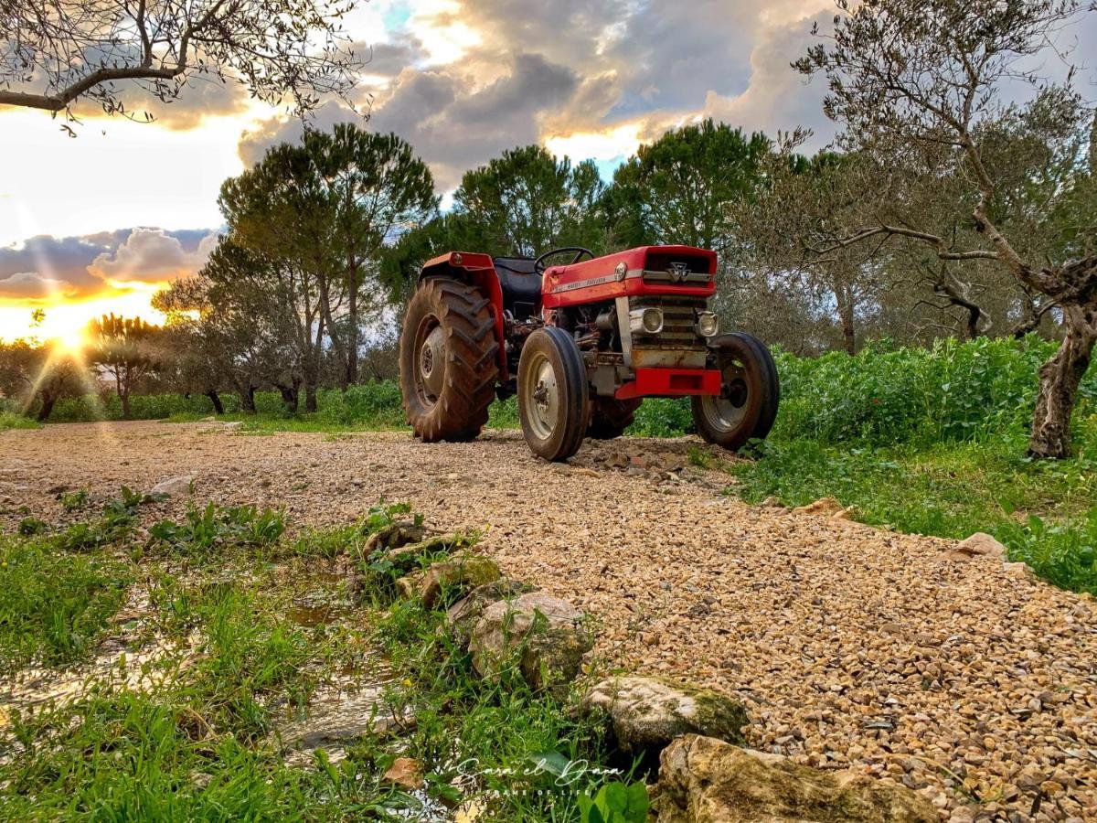 The Ranch Kfar Hazir Exterior foto